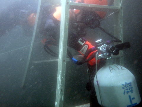 潜水訓練中はしごをくぐる潜水士